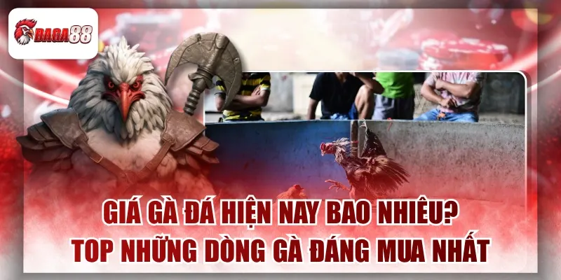 Giá Gà Đá Hiện Nay Bao Nhiêu?Top Những Dòng Gà Đáng Mua Nhất