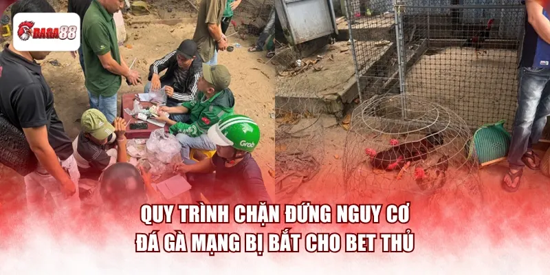 Quy trình chặn đứng nguy cơ đá gà mạng bị bắt cho bet thủ