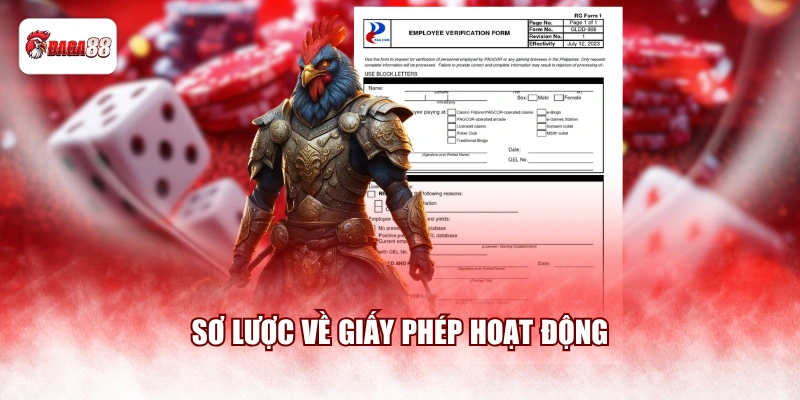 Sơ lược về giấy phép hoạt động 